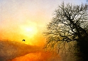 paysage18_04_10n08