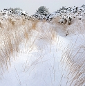 paysage19_12_09n06