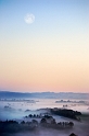 paysage21_03_11n01