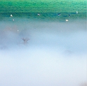 paysage21_03_11n09