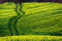 paysage21_11_10n02