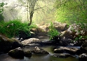 paysage23_05_10n04bis