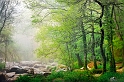 paysage23_05_10n05