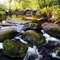 paysage24_09_11n01