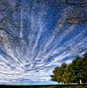 paysage27_02_11n02