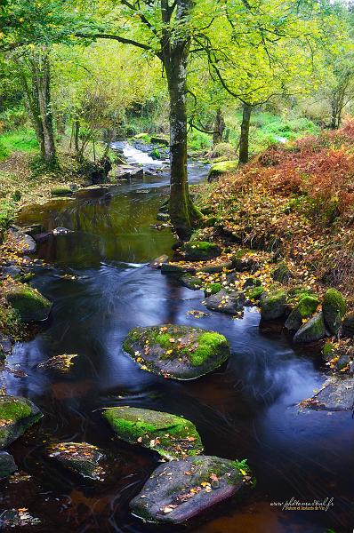 paysage11_10_17n01.jpg