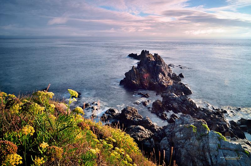 paysage21_08_17n10.jpg