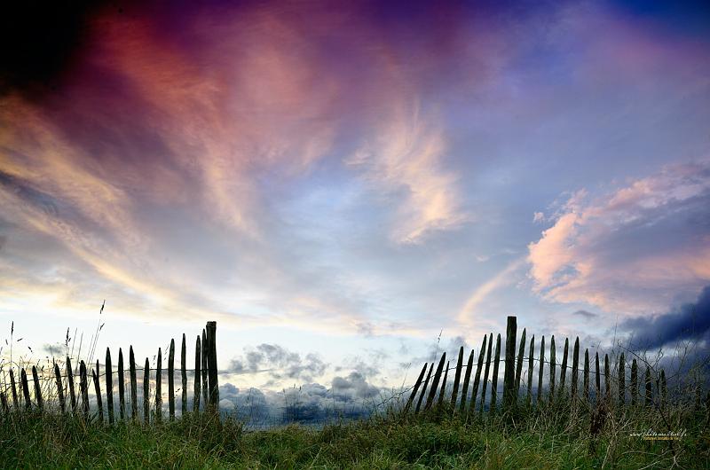 paysage24_09_17n01.jpg