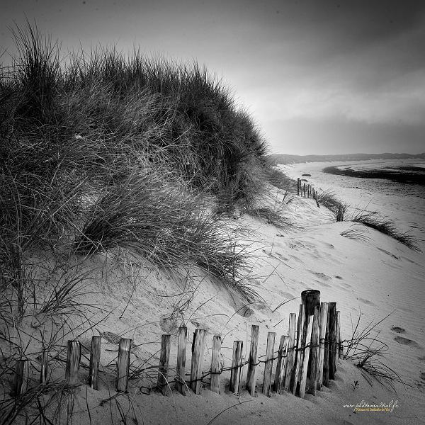 paysage24_09_17n08.jpg