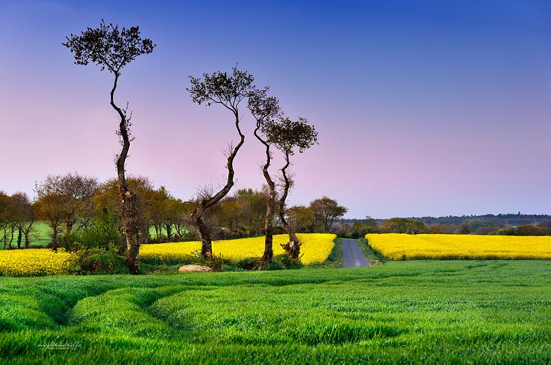 paysage29_04_17n01.jpg