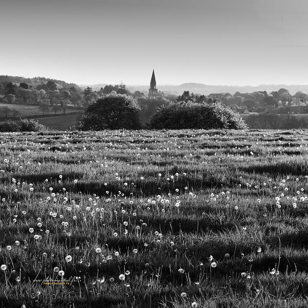 paysage29_04_17n03.jpg