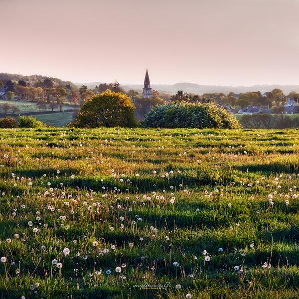 paysage29_04_17n03bis.jpg