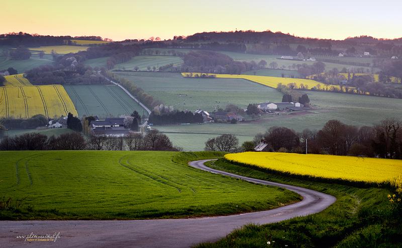 paysage9_04_17n06.jpg