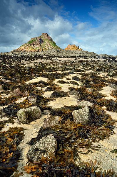 paysage9_09_17n09.jpg