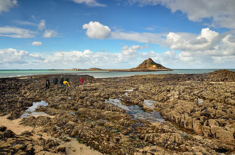 paysage9_09_17n10.jpg