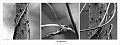 flore09_04_12n0123
