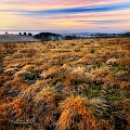flore09_12_12n02