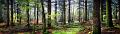 pano02_11_14n01