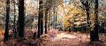 pano02_11_14n02
