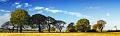 pano09_05_13n03