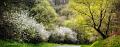 pano13_04_14n02