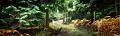 pano14_10_12n01