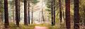 pano1_06_14n01