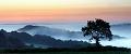 pano21_07_12n03
