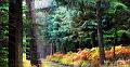 paysage14_10_12n01