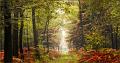 paysage21_10_12n01