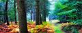 paysage21_10_12n03