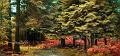 paysage27_10_12n01