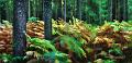 paysage28_10_12n01