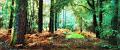 paysage28_10_12n02bis
