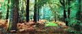 paysage28_10_12n02bis2