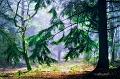 arbre24_03_13n01