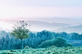 payasage09_05_13n01bis