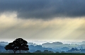 paysage01_06_13n02