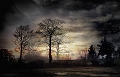 paysage04_01_15n02