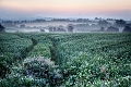 paysage06_07_13n01bis2