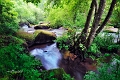 paysage08_06_13n10