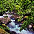 paysage08_06_13n11