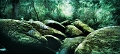 paysage08_07_12n01bis