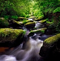 paysage09_06_12n03
