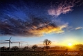 paysage11_01_13n03bis