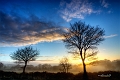 paysage11_01_13n04