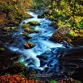 paysage11_11_12n01
