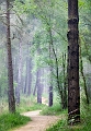 paysage1_06_14n02