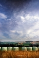 paysage20_07_14n02