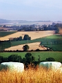 paysage20_07_14n04